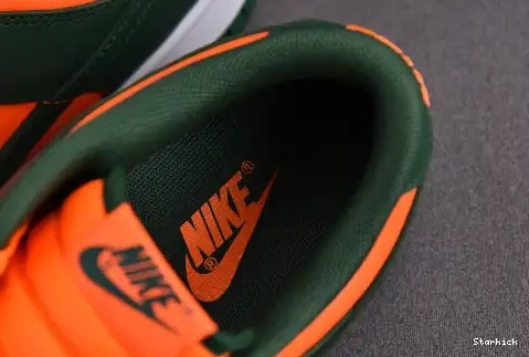 DD1391-300 Low Dunk Hurricanes Miami Nike 0706